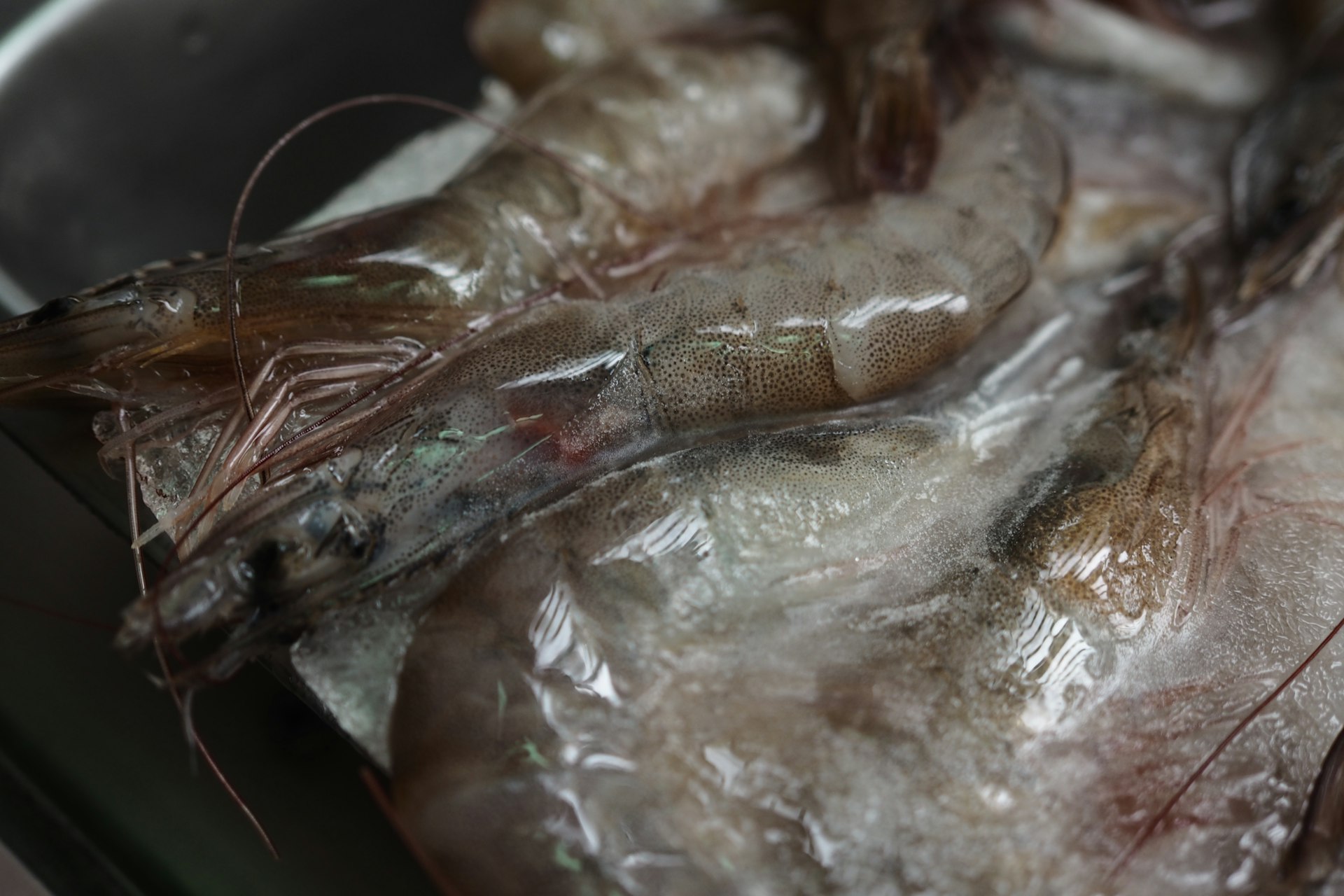 brown and green plastic pack